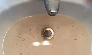 Cư dân khu đô thị mới dùng nước bẩn, trách nhiệm trước tiên thuộc về chủ đầu tư