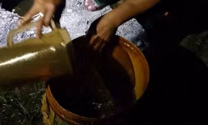 Hàng nghìn lít dầu bị rò rỉ ra cánh đồng Thanh Hóa