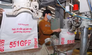 Trên 57.000 doanh nghiệp 'rút lui' khỏi thị trường 