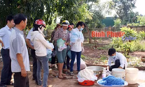 Xuất hiện ký sinh trùng sốt rét kháng thuốc, một người tử vong