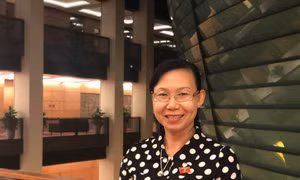 Đại biểu hài lòng về kỳ họp Quốc hội lần này