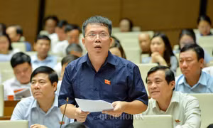 Bên lề Quốc hội: 'Cả hai phương án đều không đủ cơ sở khoa học'
