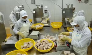 Tiếp sức cho doanh nghiệp trong nước tăng tốc xuất khẩu