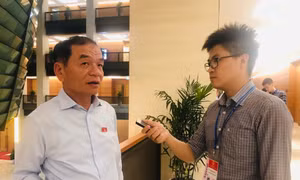 Đại biểu Quốc hội: 'Không chồng chéo khi vừa thanh tra, vừa kiểm toán giá điện'