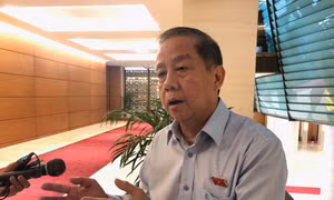 Lo ngại hàng Trung Quốc mượn danh 'made in Vietnam' để xuất vào Mỹ