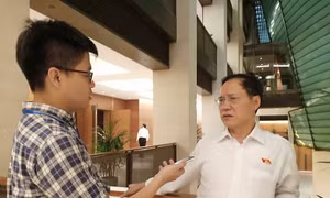 Quốc hội bàn Luật Giáo dục: Đại biểu quan tâm gian lận thi cử, ấu dâm, bạo lực học đường