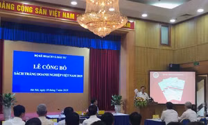 Lần đầu tiên công bố Sách trắng doanh nghiệp Việt Nam 