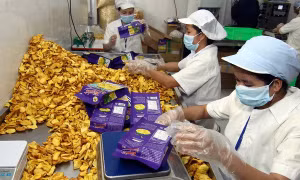 Bánh cốm, su sê, hoa quả sấy khô... tìm đường xuất ngoại