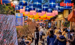 Phố sách Hà Nội lung linh trong đêm