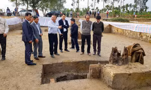 Cấp bách bảo tồn bãi cọc trận địa Bạch Đằng sau khi phát lộ