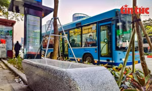 Hàng loạt ghế đá 'mini' được lắp đặt dưới hàng hoa sữa cổ thụ ở Hà Nội