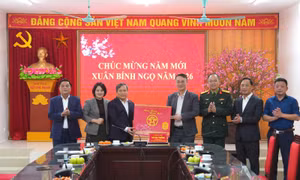 Chủ tịch TP Hà Nội: Kỷ luật hành động từ cơ sở đến lực lượng vũ trang