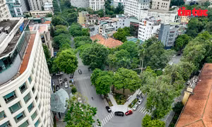 Ngắm vườn hoa Tao Đàn vừa được đầu tư 3 tỷ đồng để cải tạo
