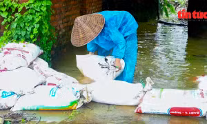 Hà Nội chủ động ứng phó với sạt lở ở Yên Xuân và lũ lớn trên sông Cầu, sông Thương