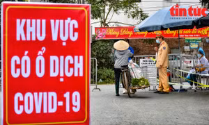 Người dân thôn Bạch Trữ (Mê Linh, Hà Nội) vẫn bán được rau xanh trong những ngày bị phong toả