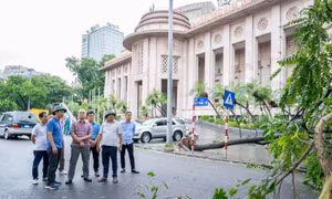 Chủ tịch TP Hà Nội: Khải khôi phục lại hệ thống giao thông trong ngày 8/9