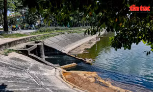Công an vào cuộc vụ dầu loang trên hồ Linh Đàm