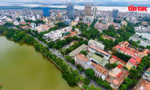 Hà Nội yêu cầu tạm dừng tuyển dụng công chức, viên chức