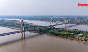  Chủ tịch TP Hà Nội chỉ đạo quyết liệt xây cầu Tứ Liên, Trần Hưng đạo và Ngọc Hồi
