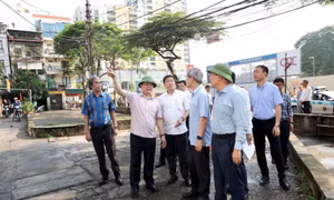 3 khu tập thể cũ của quận Ba Đình sẽ được ưu tiên cải tạo đợt 1