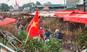 Danh sách 91 điểm tổ chức hội chợ hoa Xuân Hà Nội 2023
