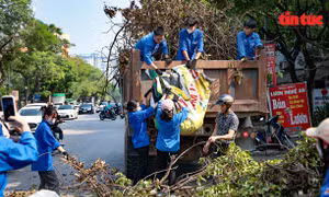 Hà Nội: Phường Đại Kim tổng vệ sinh sau bão Yagi