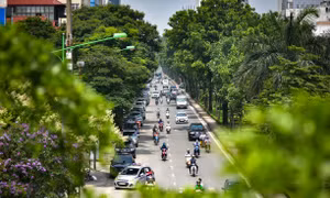 Hà Nội: Tập trung tăng tỷ lệ cây xanh tại các khu đô thị