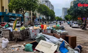 Hàng loạt tuyến phố ở Cầu Giấy trở thành điểm tập kết rác thải
