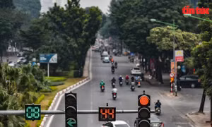 Hà Nội: Diện mạo đường Hoàng Quốc Việt trước khi bị chặt cây xanh và xén giải phân cách