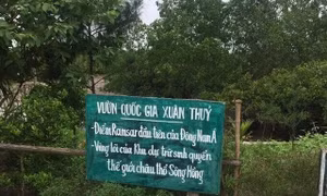 Hà Nội cấm hoạt động trải nghiệm tự phát tại các trường học