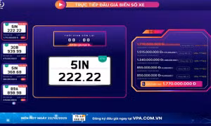 Hơn 62 tỷ đồng thu về sau phiên đấu giá biển số xe ngày 20/10/2025