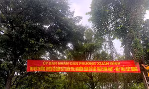 Khẩn trương xử lý điểm đốt rác và tập kết phế liệu sau phản ánh của báo Tin tức