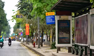 Phun khử khuẩn toàn bộ văn phòng và xe buýt 10/10