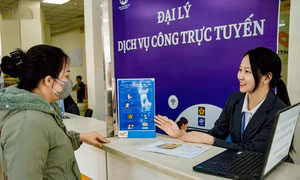 3 nhà mạng viễn thông đảm nhận vai trò Đại lý Dịch vụ công trực tuyến ở Hà Nội