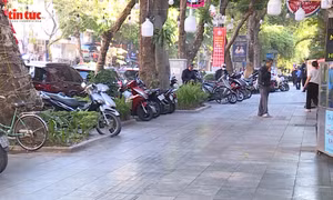 Thí điểm phường kiểu mẫu: Bài kiểm tra về kỷ cương, quyết tâm và sự đồng thuận xã hội