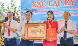 Cao trà mục nhan xác lập Kỷ lục Việt Nam về hàm lượng Polyphenol
