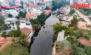 Còn 13 tỉnh, thành phố chưa lập danh mục hồ, ao, đầm, phá không được san lấp