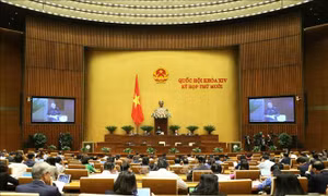 Tin nổi bật trong tuần từ 2/11 – 8/11