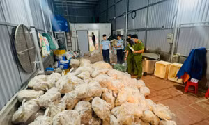 Khám xét 3 kho lạnh thu giữ hơn 10 tấn nội tạng bò 'bẩn'