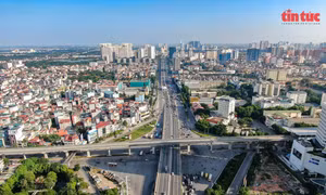 Kiện toàn hai Ban Chỉ đạo quốc gia