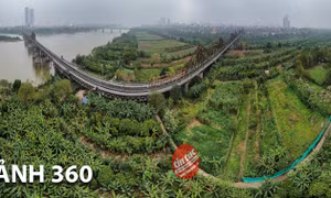 360 độ: Nhịp sống ở bãi sông Hồng ngay sát trung tâm Hà Nội