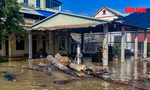 Hà Nội: 16.000 dân xã Trung Giã bị cô lập, nước vẫn vượt báo động III