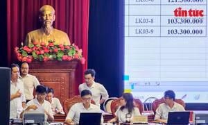 Đấu giá đất - Bài 1: Làn sóng 'giá ảo' và hệ lụy khó chữa