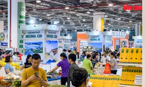 Lực đẩy liên kết vùng giúp nâng tầm nông sản Việt