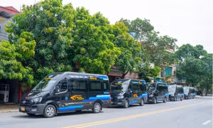 X.E Việt Nam mở rộng thị trường vận tải limousine tại miền Bắc