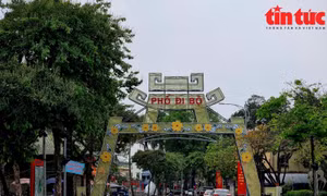 Hà Nội: Phố đi bộ Thành cổ Sơn Tây đã sẵn sàng đón khách
