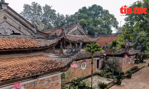 Gìn giữ lâu dài các giá trị hiện hữu của chùa Tây Phương