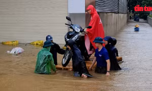 Hoàn thành việc di dân ngoài đê Hữu Hồng đến nơi an toàn