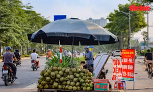 Xe bán hoa quả lưu động nhộn nhịp trên đại lộ nghìn tỷ ở ngoại thành Hà Nội