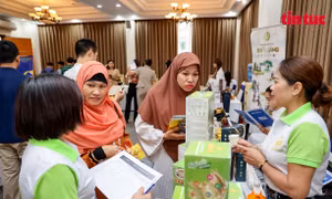 Cơ hội cho doanh nghiệp Việt tiếp cận thị trường Halal